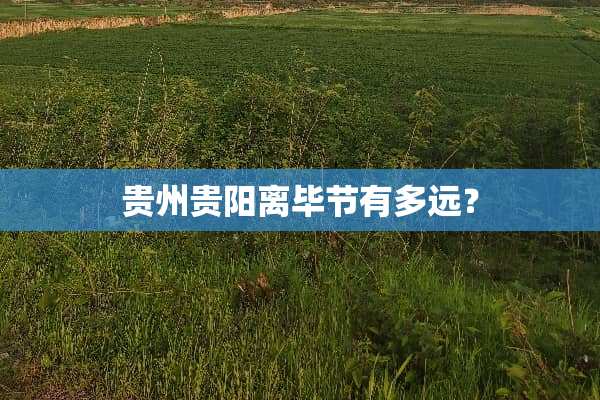 贵州贵阳离毕节有多远？