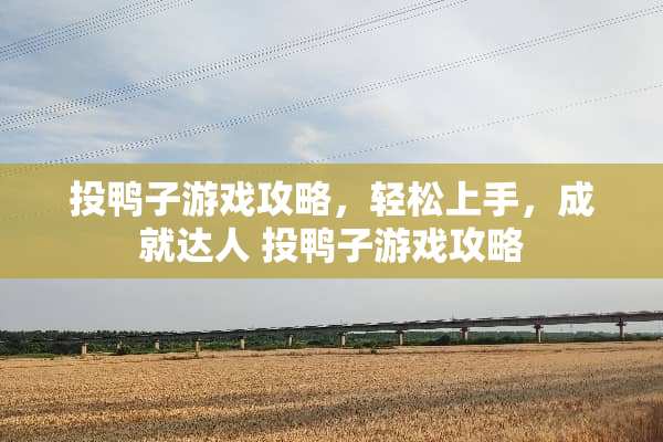投鸭子游戏攻略，轻松上手，成就达人 投鸭子游戏攻略