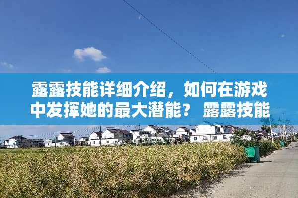 露露技能详细介绍，如何在游戏中发挥她的最大潜能？ 露露技能介绍