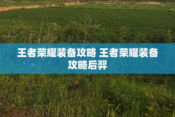 王者荣耀装备攻略 王者荣耀装备攻略后羿