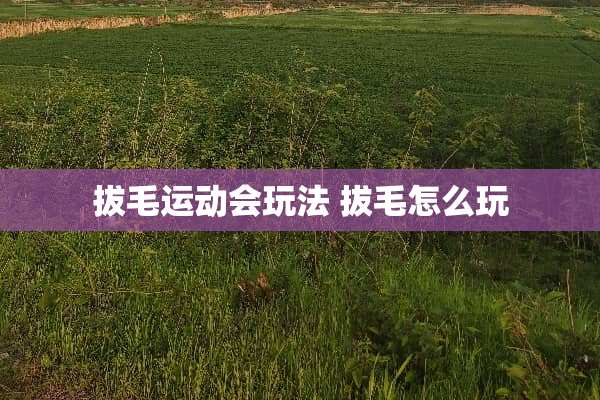 拔毛运动会玩法 拔毛怎么玩