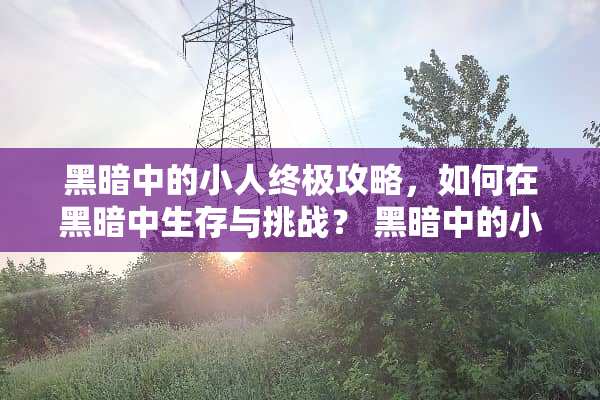 黑暗中的小人终极攻略，如何在黑暗中生存与挑战？ 黑暗中的小人游戏攻略