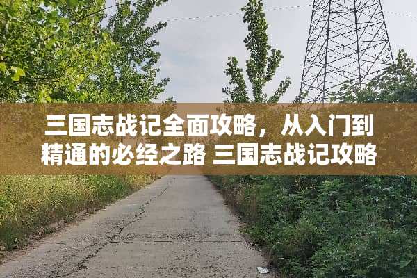 三国志战记全面攻略，从入门到精通的必经之路 三国志战记攻略