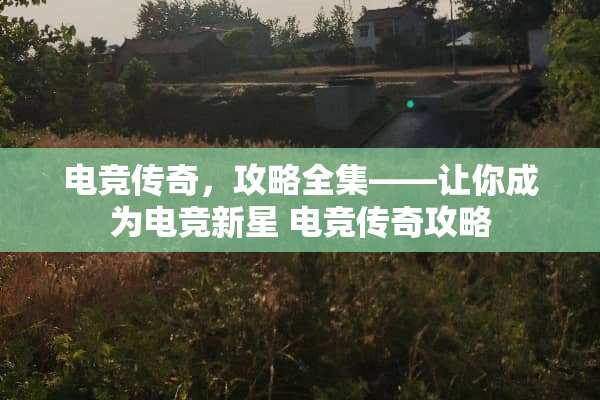 电竞传奇，攻略全集——让你成为电竞新星 电竞传奇攻略