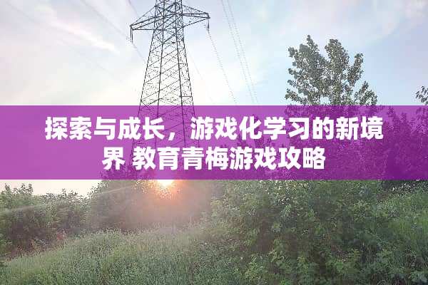 探索与成长，游戏化学习的新境界 教育青梅游戏攻略