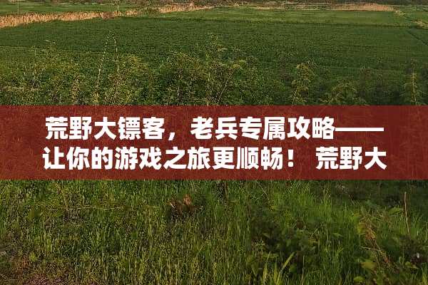 荒野大镖客，老兵专属攻略——让你的游戏之旅更顺畅！ 荒野大镖客游戏攻略老兵