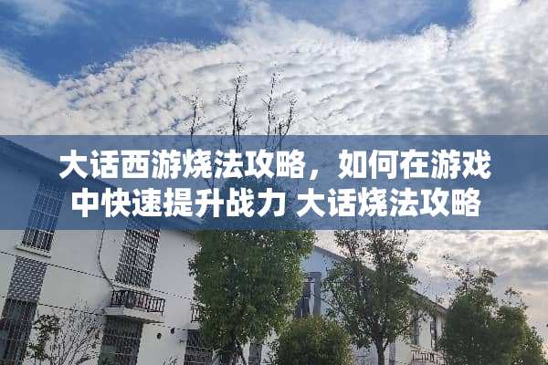 大话西游烧法攻略，如何在游戏中快速提升战力 大话烧法攻略