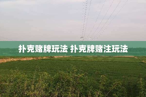 **赌牌玩法 **牌赌注玩法