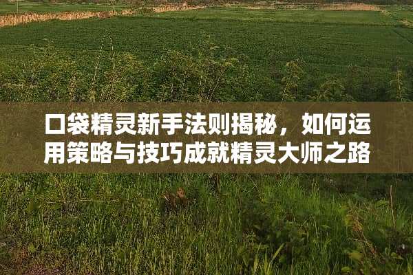 口袋精灵新手法则揭秘，如何运用策略与技巧成就精灵大师之路 口袋精灵游戏攻略