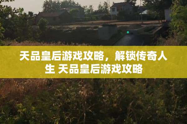 天品皇后游戏攻略，解锁传奇人生 天品皇后游戏攻略
