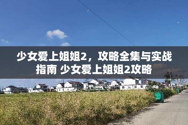 少女爱上姐姐2，攻略全集与实战指南 少女爱上姐姐2攻略