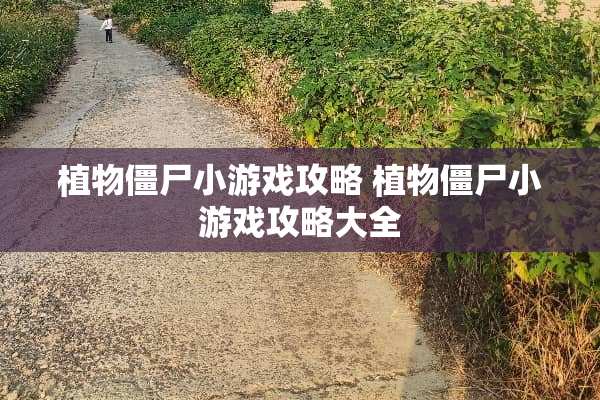 植物僵尸小游戏攻略 植物僵尸小游戏攻略大全
