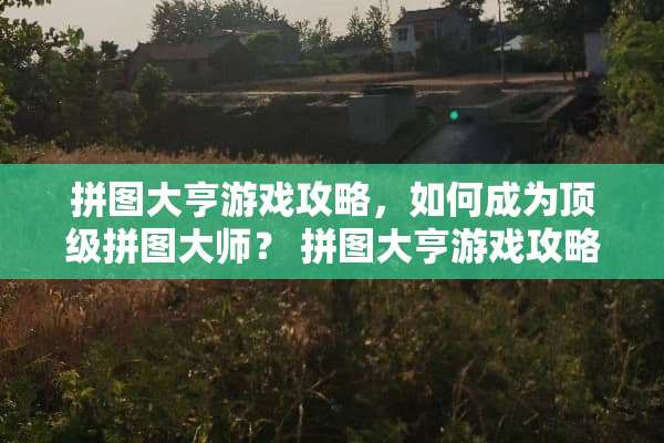 拼图大亨游戏攻略，如何成为**拼图大师？ 拼图大亨游戏攻略
