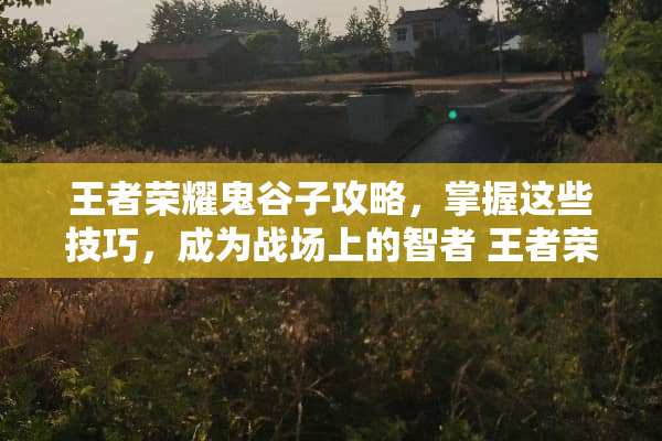 王者荣耀鬼谷子攻略，掌握这些技巧，成为战场上的智者 王者荣耀鬼谷子攻略