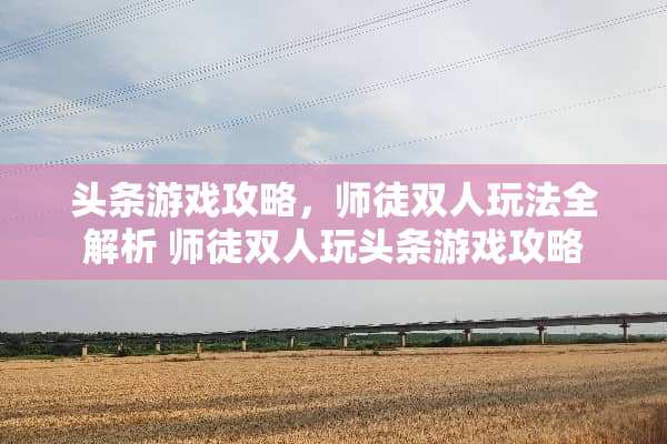 头条游戏攻略，师徒双人玩法全解析 师徒双人玩头条游戏攻略
