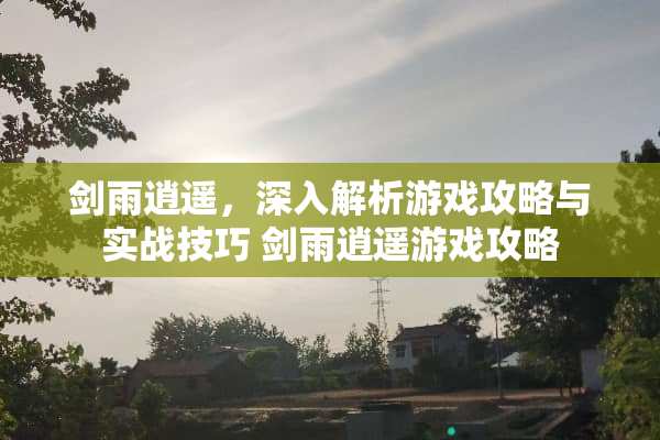剑雨逍遥，深入解析游戏攻略与实战技巧 剑雨***戏攻略