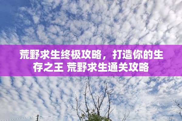 荒野求生终极攻略，打造你的生存之王 荒野求生通关攻略