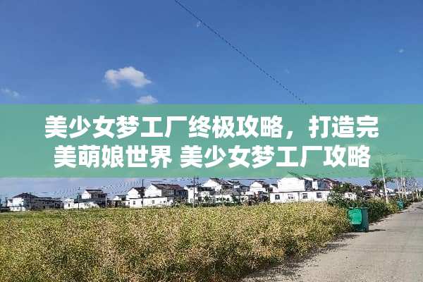 美少女梦工厂终极攻略，打造完美萌娘世界 美少女梦工厂攻略