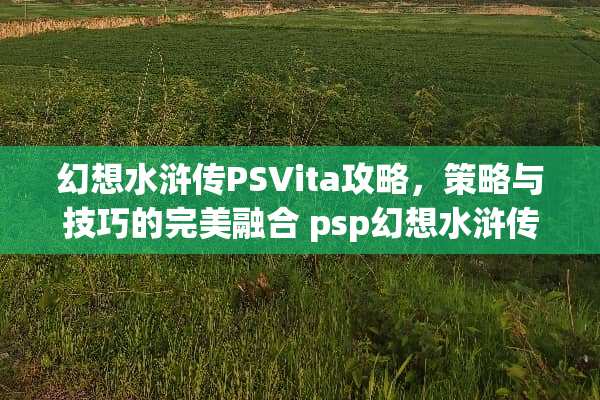 幻想水浒传PSVita攻略，策略与技巧的完美融合 psp幻想水浒传攻略