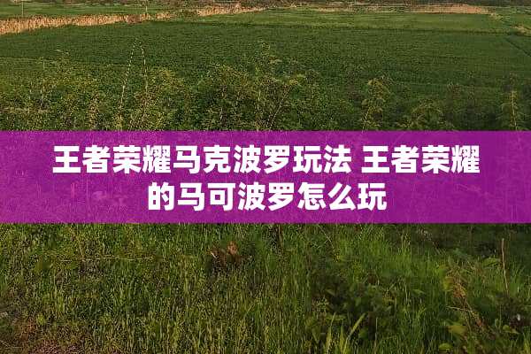 王者荣耀马克波罗玩法 王者荣耀的马可波罗怎么玩