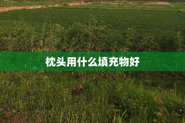 枕头用什么填充物好