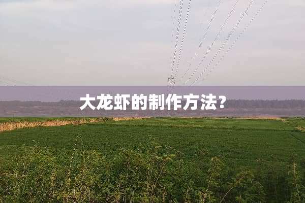 大龙虾的制作方法？