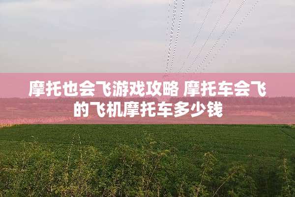 摩托也会飞游戏攻略 摩托车会飞的飞机摩托车多少钱