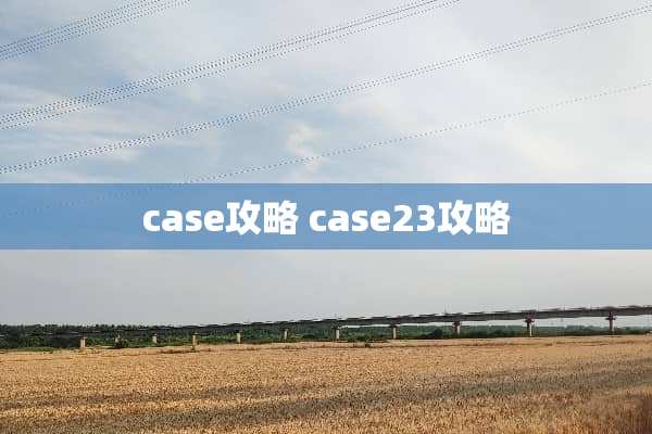 case攻略 case23攻略