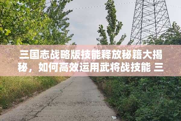 三国志战略版技能释放秘籍大揭秘，如何高效运用武将战技能 三国志技能怎么放