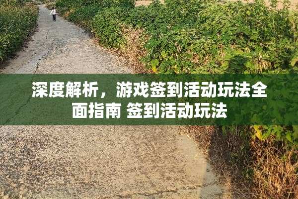 深度解析，游戏签到活动玩法全面指南 签到活动玩法