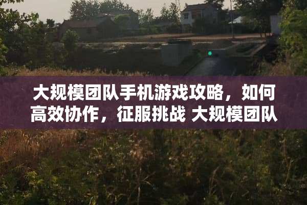 大规模团队手机游戏攻略，如何高效协作，征服挑战 大规模团队手机游戏攻略
