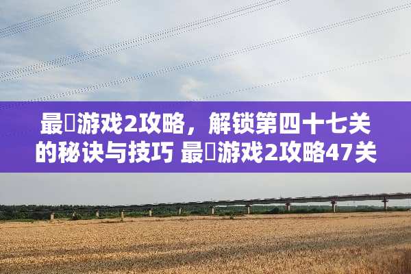 最囧游戏2攻略，解锁第四十七关的秘诀与技巧 最囧游戏2攻略47关
