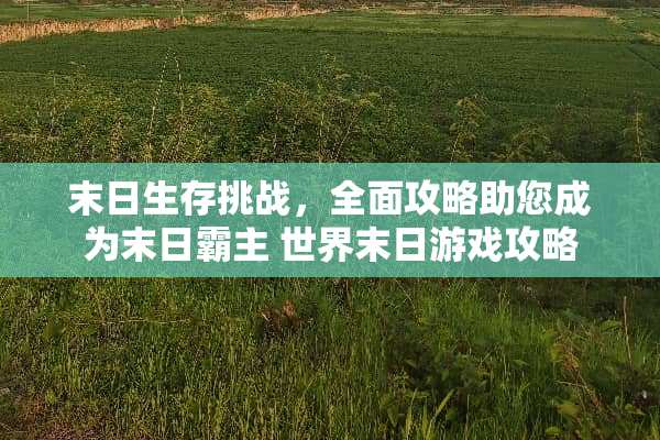 末日生存挑战，全面攻略助您成为末日霸主 世界末日游戏攻略