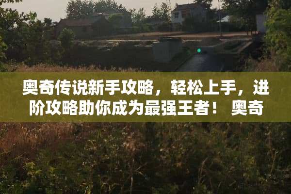 奥奇传说新手攻略，轻松上手，进阶攻略助你成为最强王者！ 奥奇传说新手攻略