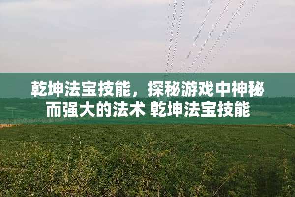 乾坤法宝技能，探秘游戏中神秘而强大的法术 乾坤法宝技能