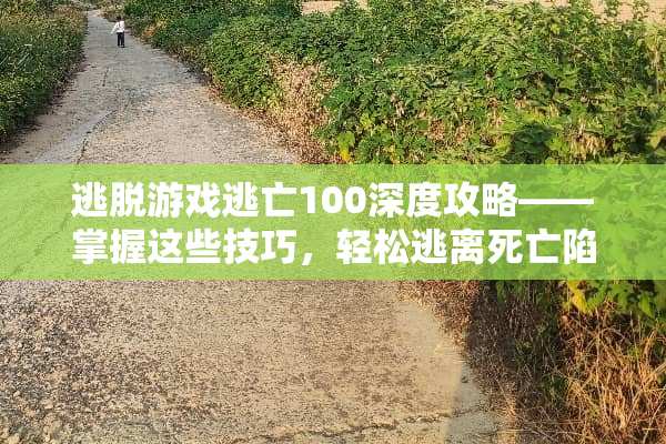 逃脱游戏逃亡100深度攻略——掌握这些技巧，轻松逃离死亡陷阱 逃脱游戏逃亡100攻略