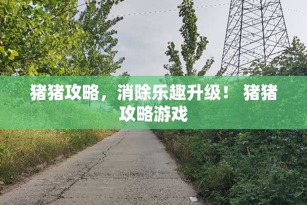 猪猪攻略，消除乐趣升级！ 猪猪攻略游戏