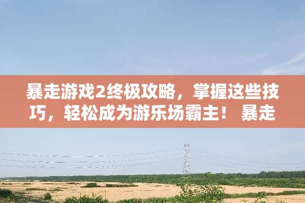 暴走游戏2终极攻略，掌握这些技巧，轻松成为游乐场霸主！ 暴走游戏2攻略