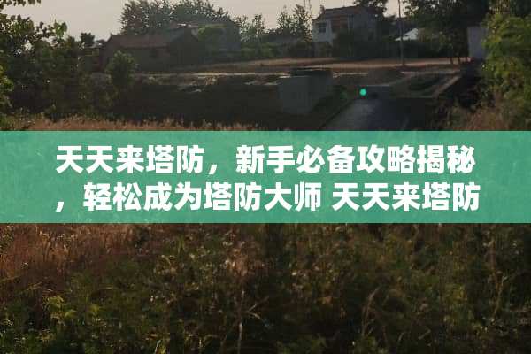 天天来塔防，新手必备攻略揭秘，轻松成为塔防大师 天天来塔防攻略