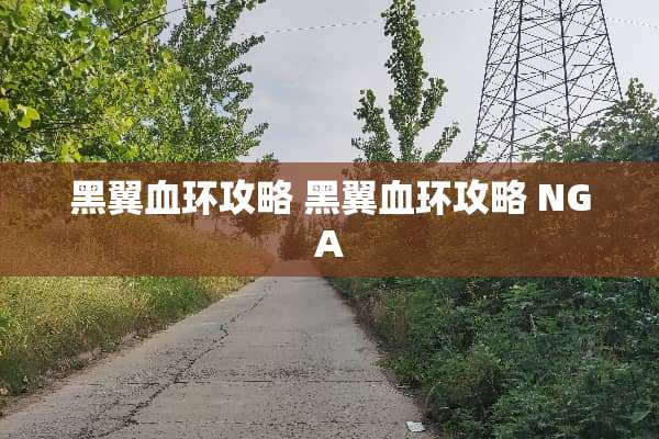 黑翼血环攻略 黑翼血环攻略 NGA
