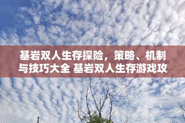 基岩双人生存探险，策略、机制与技巧大全 基岩双人生存游戏攻略