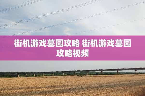 街机游戏墓园攻略 街机游戏墓园攻略视频