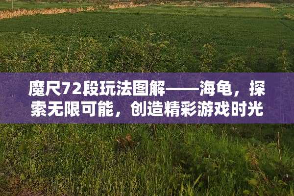 魔尺72段玩法图解——海龟，探索无限可能，创造精彩游戏时光！ 魔尺72段玩法图解海龟