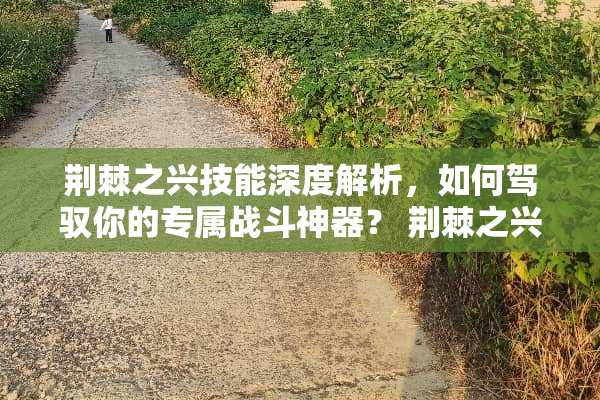 荆棘之兴技能深度解析，如何驾驭你的专属战斗神器？ 荆棘之兴技能