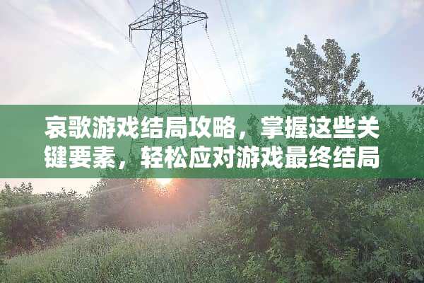 哀歌游戏结局攻略，掌握这些关键要素，轻松应对游戏最终结局 哀歌游戏结局攻略