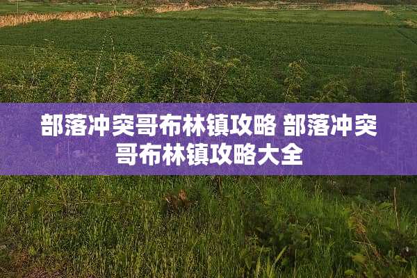 部落冲突哥布林镇攻略 部落冲突哥布林镇攻略大全