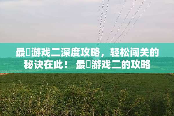 最囧游戏二深度攻略，轻松闯关的秘诀在此！ 最囧游戏二的攻略