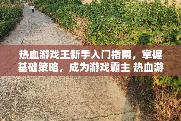 热血游戏王新手入门指南，掌握基础策略，成为游戏霸主 热血游戏王新手攻略