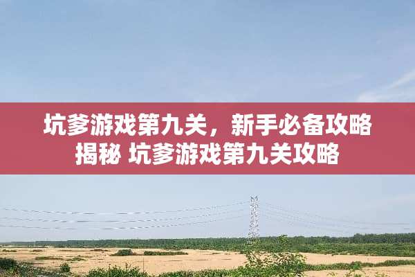 坑爹游戏第九关，新手必备攻略揭秘 坑爹游戏第九关攻略