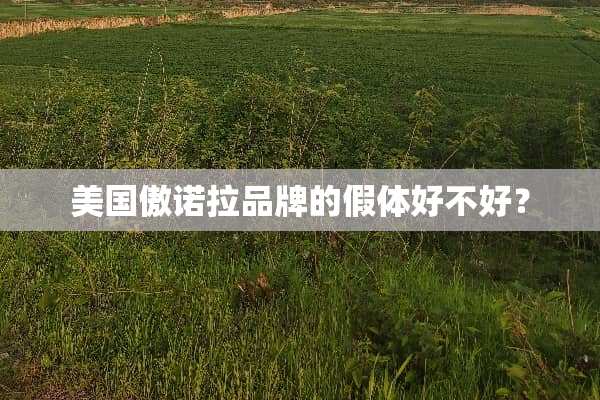 美国傲诺拉品牌的假体好不好？